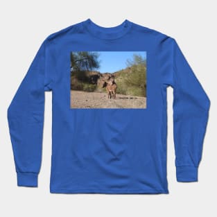 Wild burros, donkeys, wildlife, wild animals Long Sleeve T-Shirt